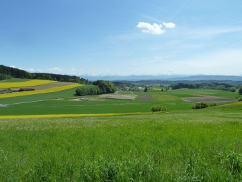 Theilingen