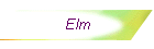 Elm