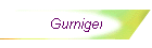 Gurnigel