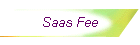 Saas Fee