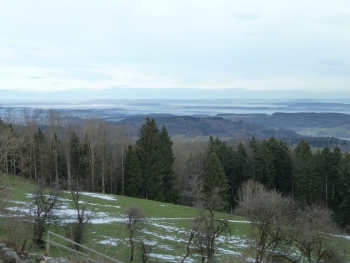 Nebel ber dem Thurgau