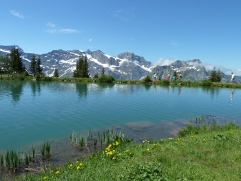 Engelberg