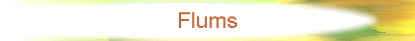Flums