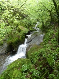 Twannbachschlucht