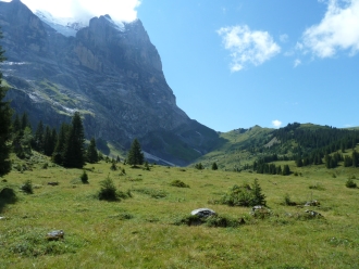 Wetterhorn