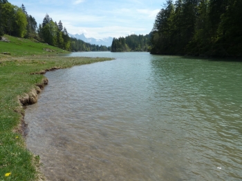 chapensee
