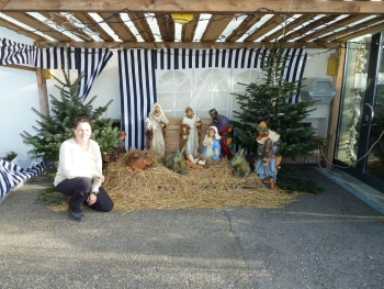 krippe nollen